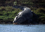 australia - the mary river near darwin.jpg
